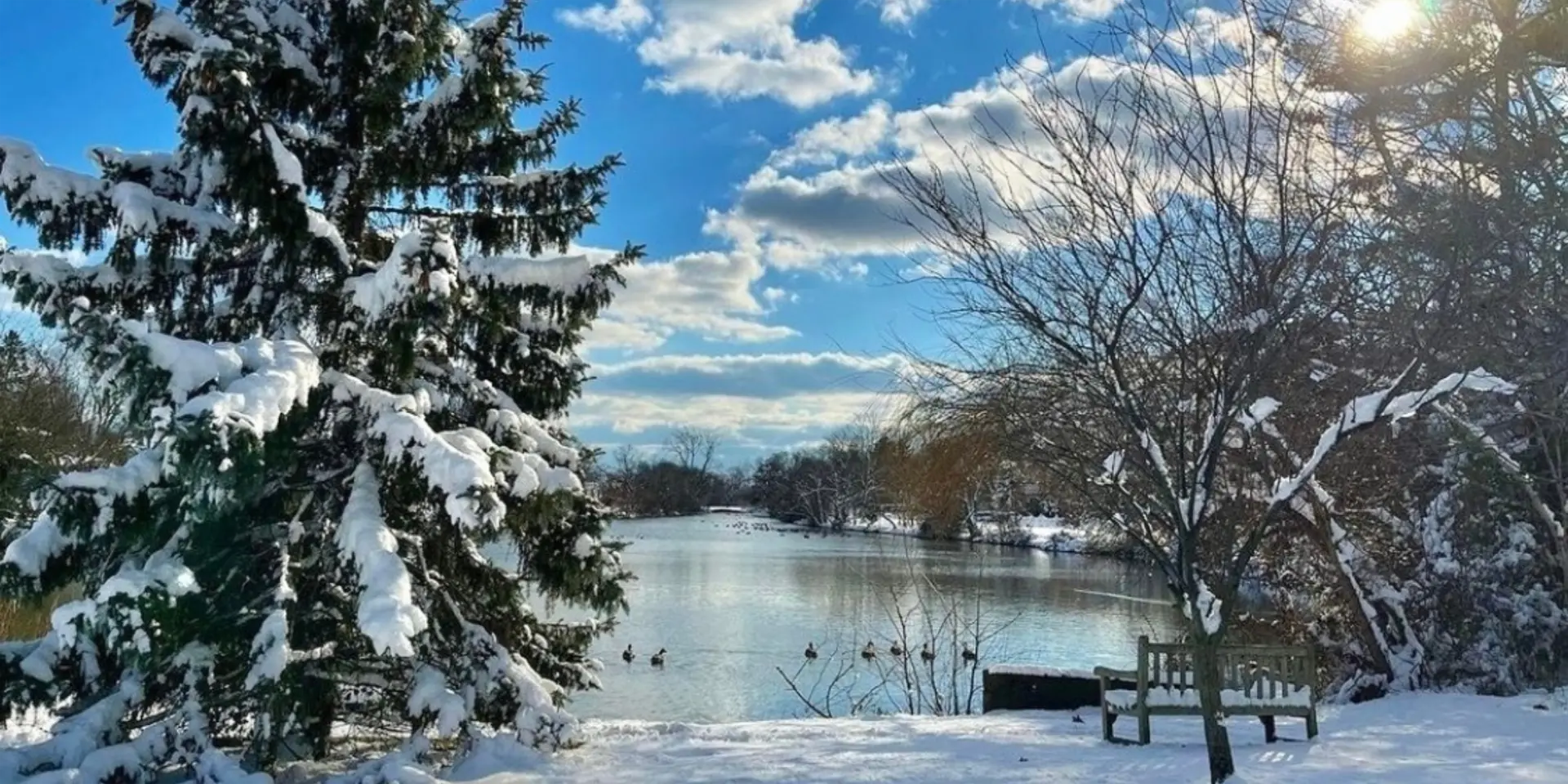 Snowy Trail Hiking bench pond