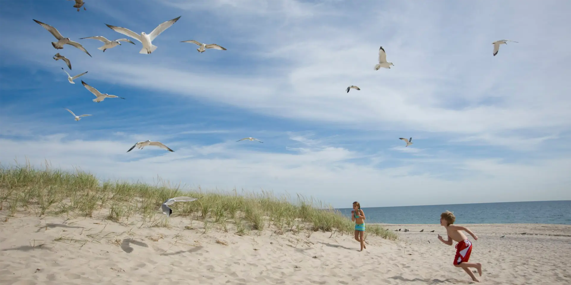 Two children playing on Cooper's Beach with seagulls flying overhead on a sunny day.