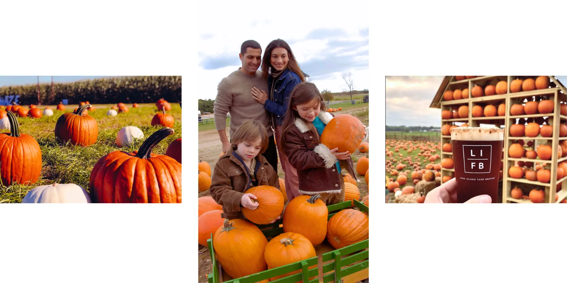Waterdrinker Family Farm Manorville