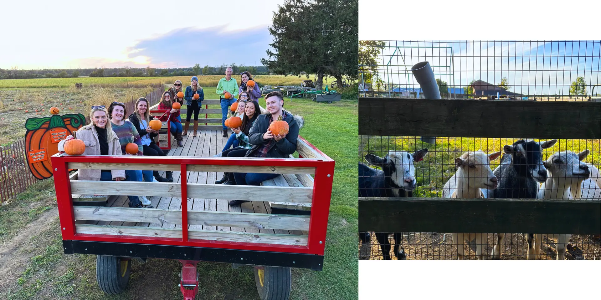 Suffolk County Farm Yaphank