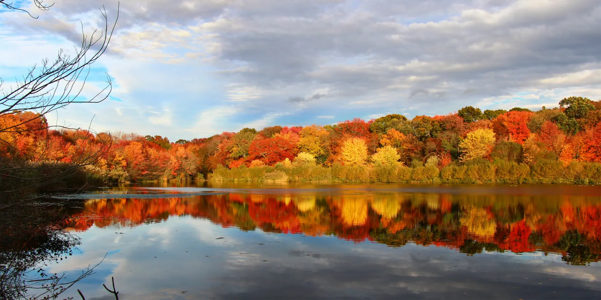 Fall foliage