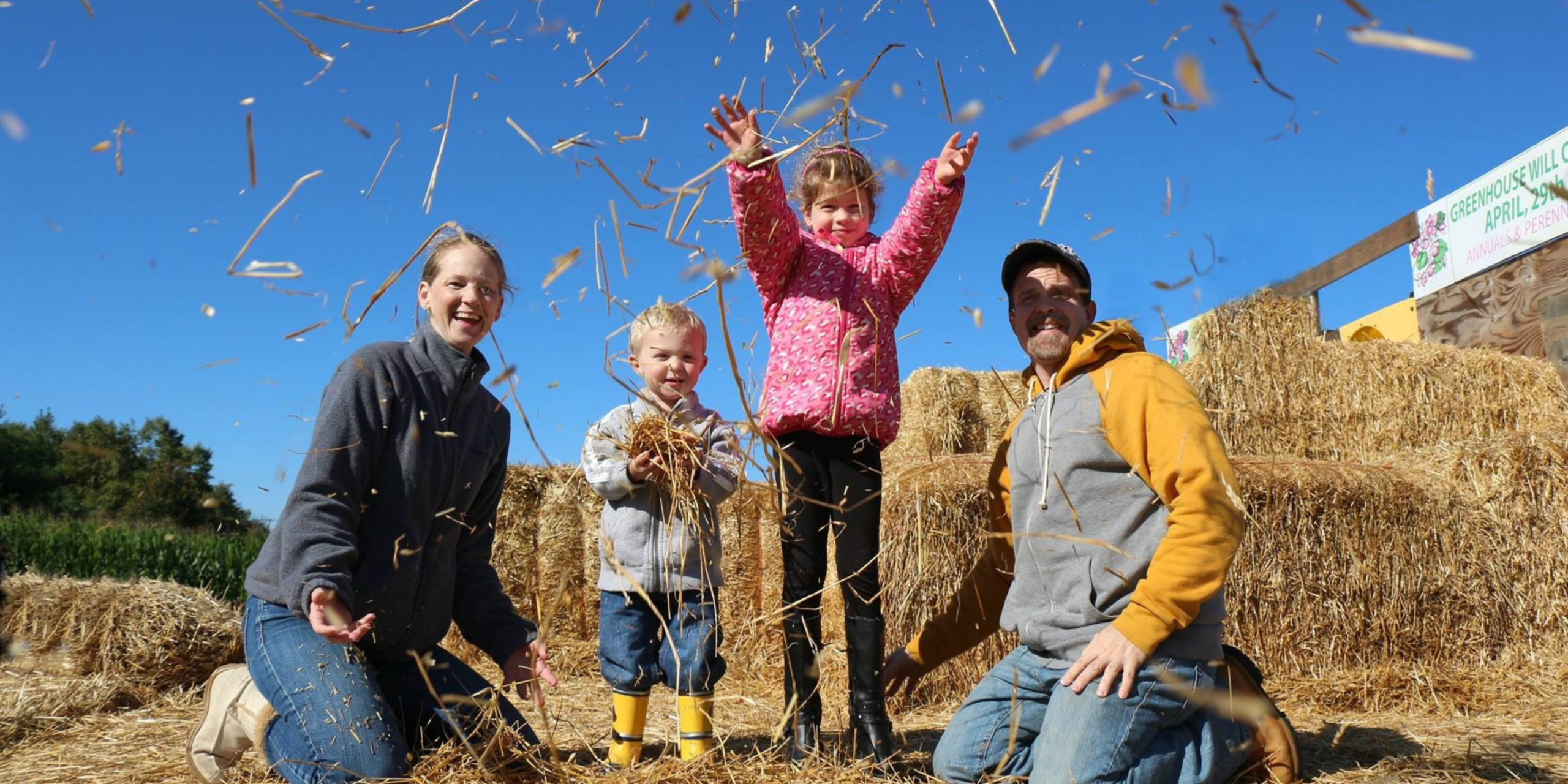 Fall festival