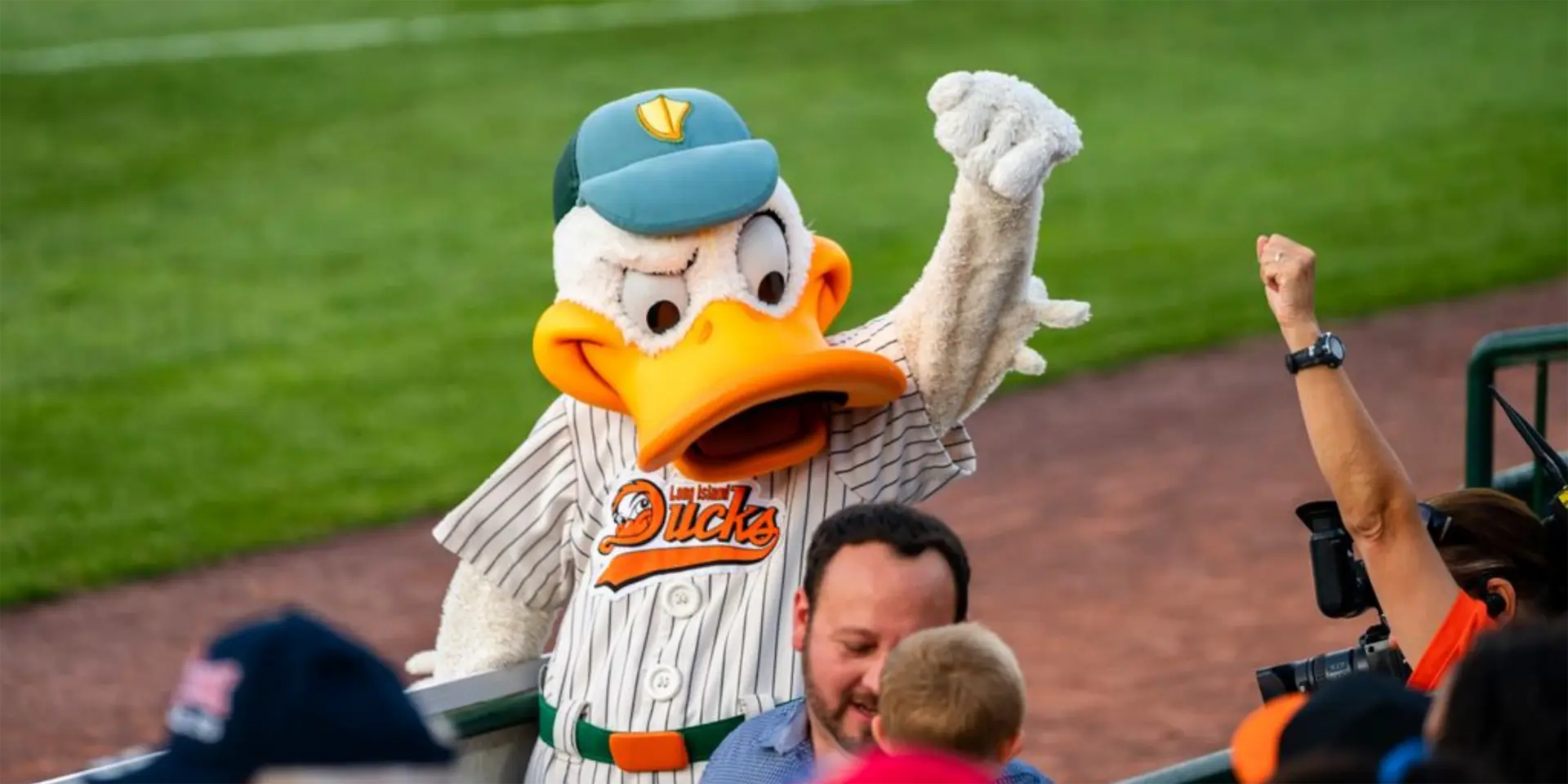 Ducks