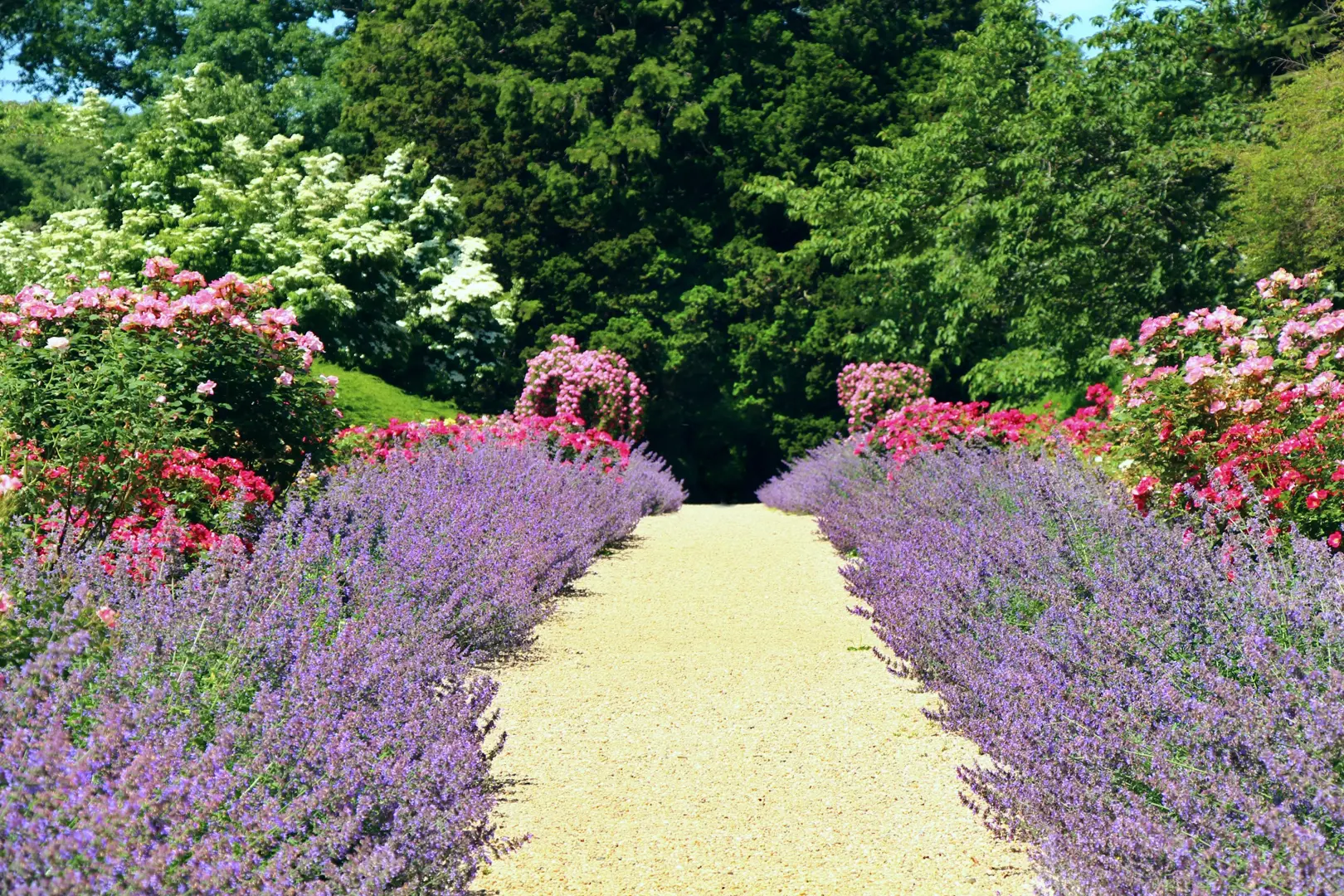 Flower‑lined path at Planting Fields Arboretum in Huntington, Long Island, New York, photographed by Bridgette Kistinger, with blooming gardens and trees.