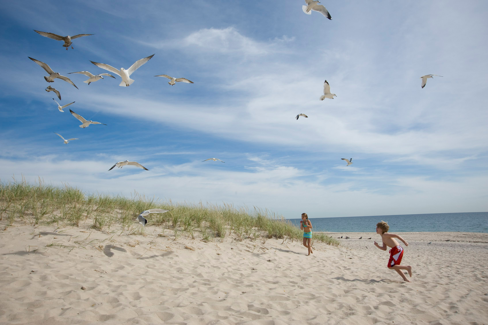 coopers beach