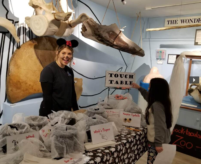 whaling museum