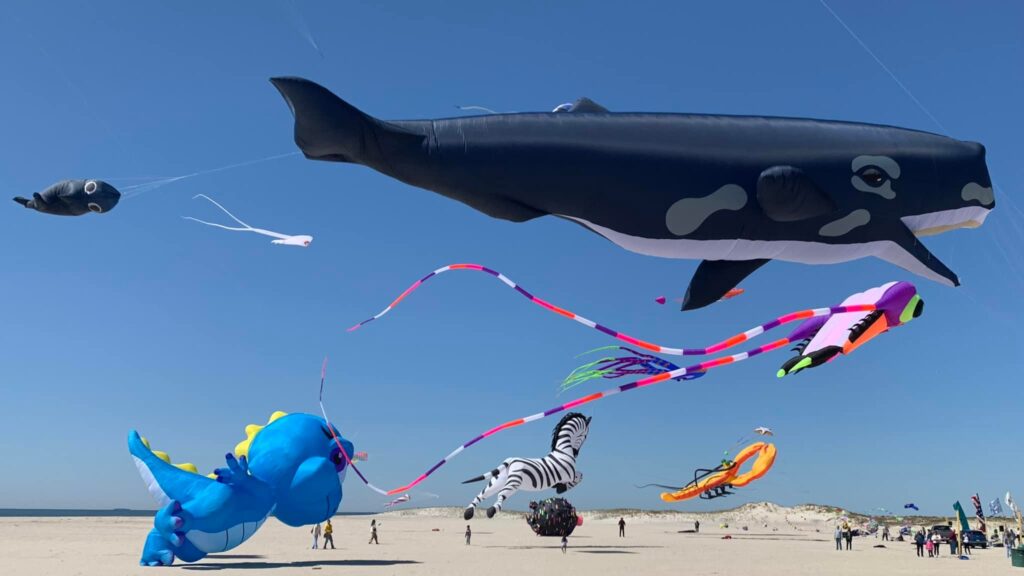 annual kite festival