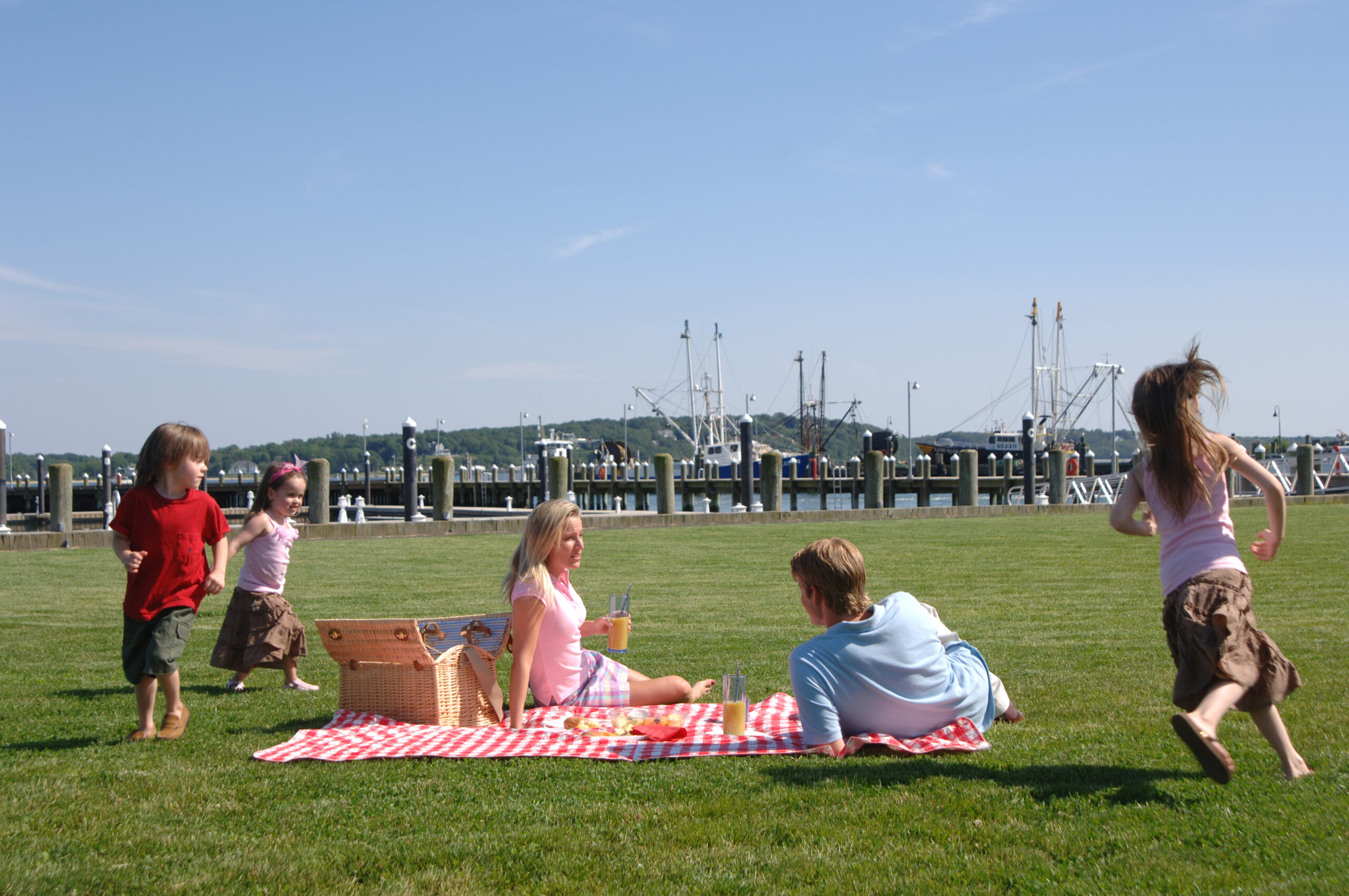 Group seated on a red checkered picnic blanket on a grassy waterfront park on Long Island, with several children playing nearby, a marina with docked boats in the background, and clear blue sky overhead.