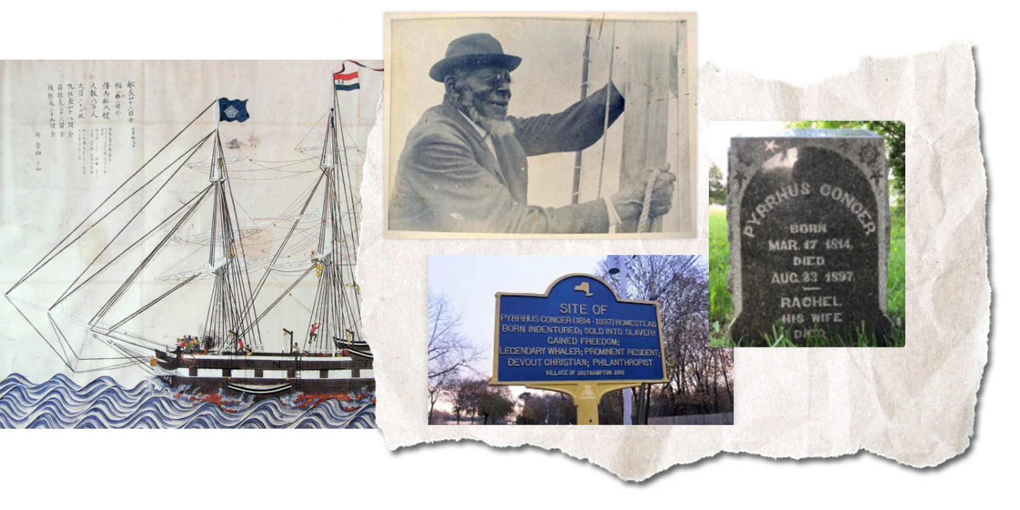 Pyrrus Concer