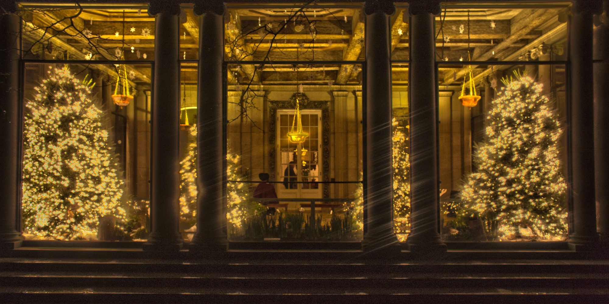 Christmas Trees at Westbury Gardens