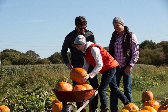 What's New On Long Island This Fall