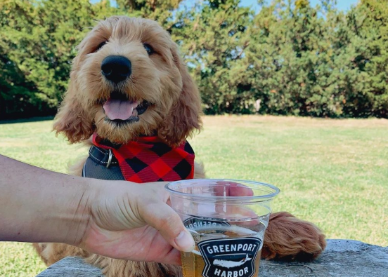 greenport brewing company