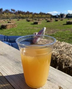 long island farm brewery