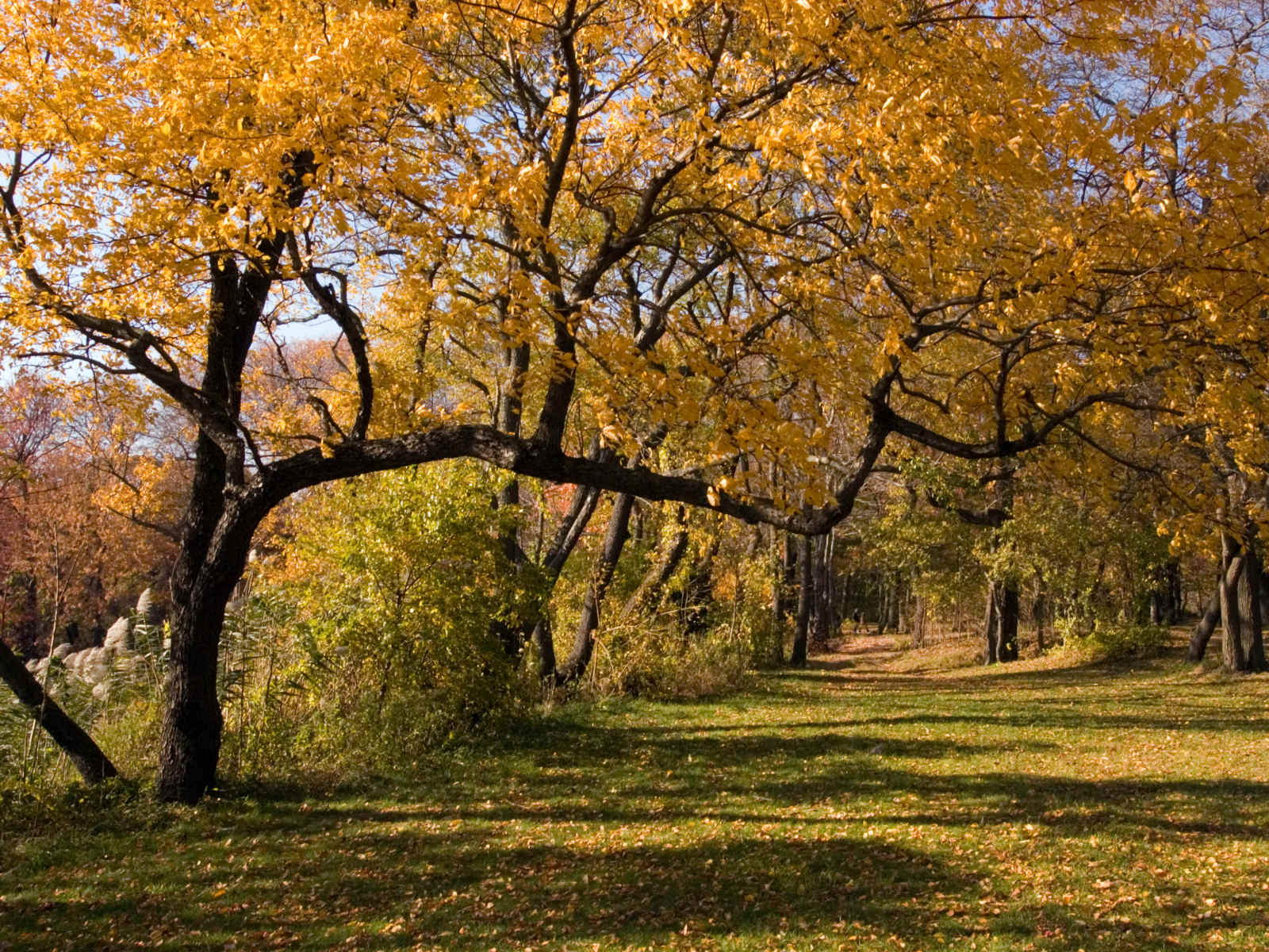 hempstead lake state park