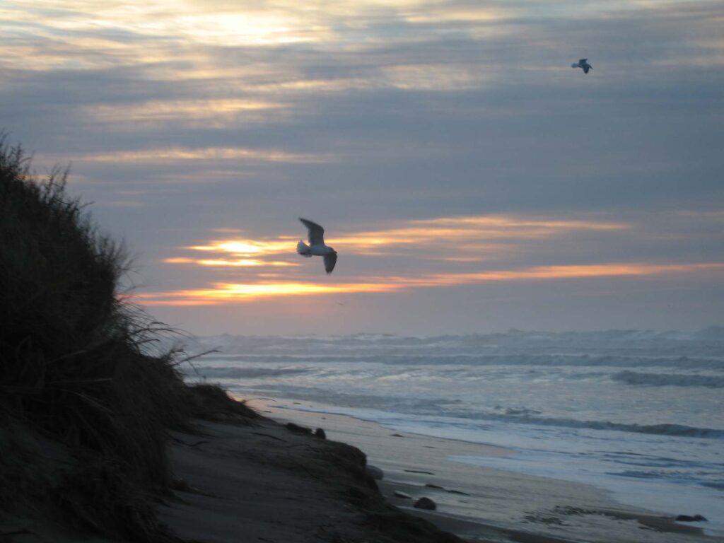 montauk point state park