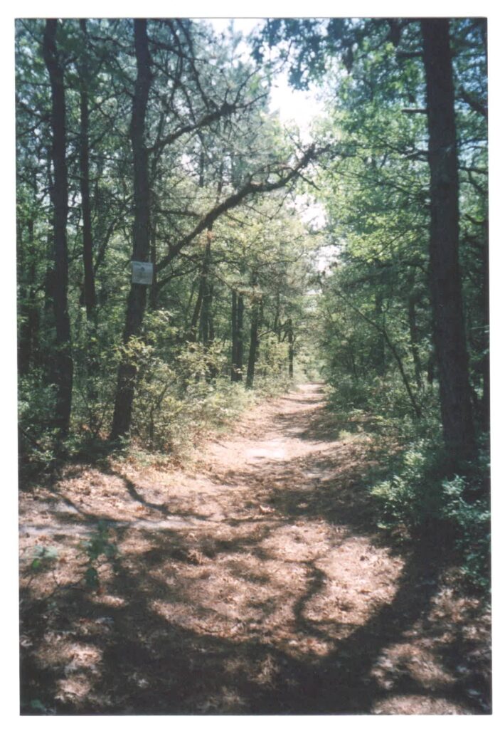 Long Island Pine Barrens