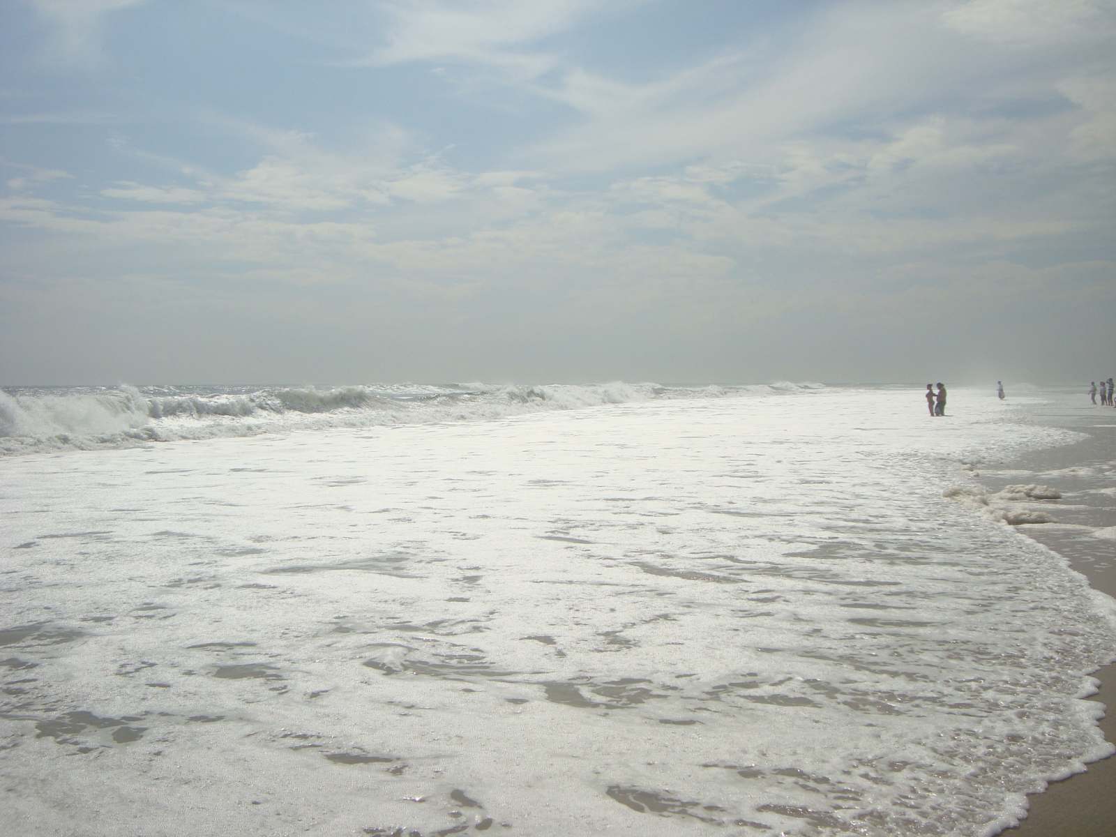 cupsogue beach county park