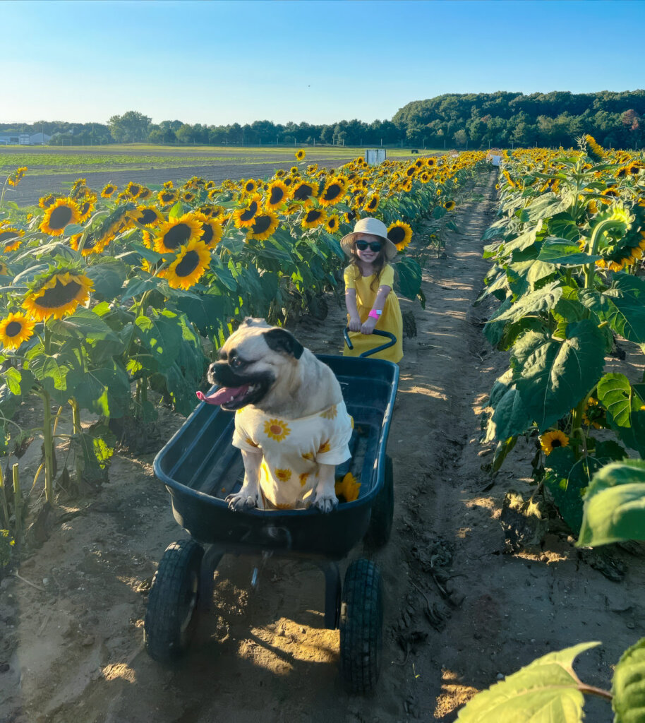 Family enjoying summer fun on Long Island