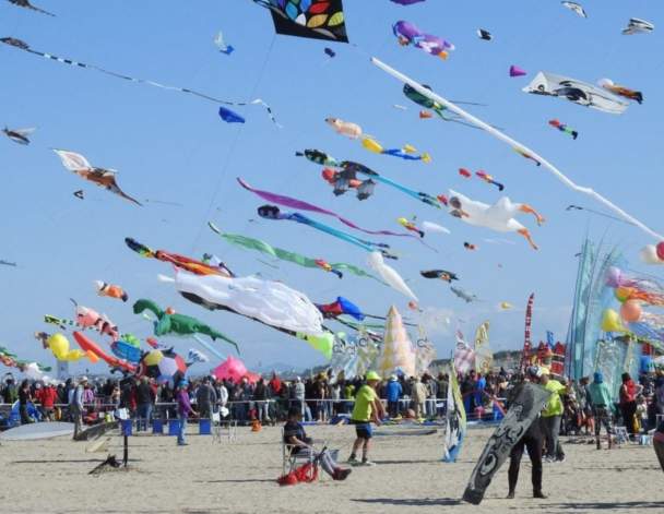 Kite festival flown over Long Island