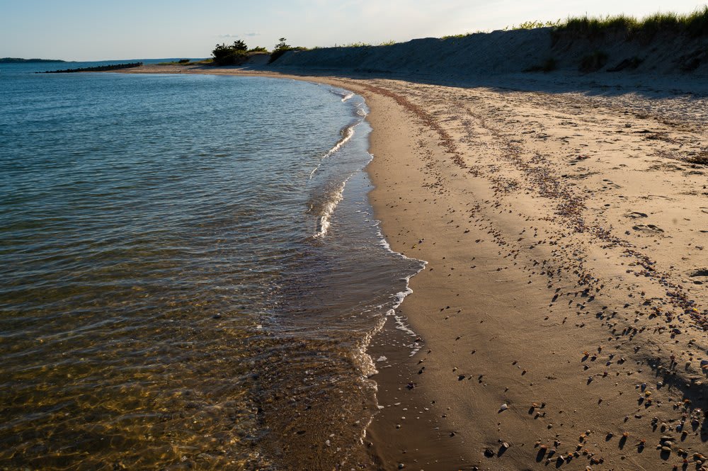 shell beach