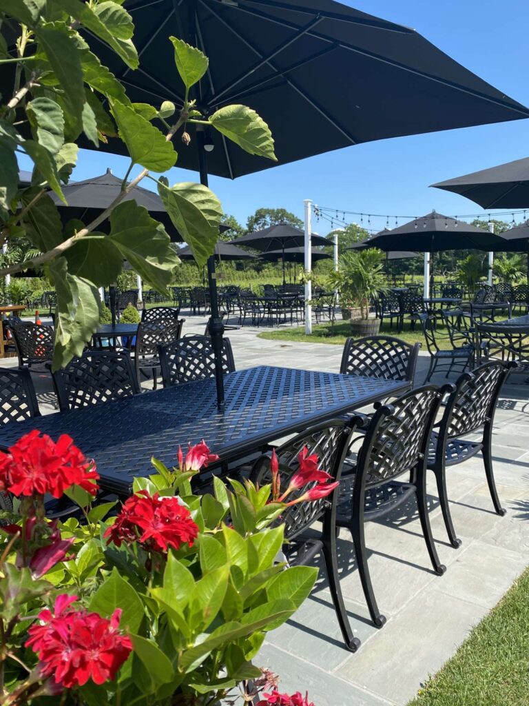 del vino vineyards