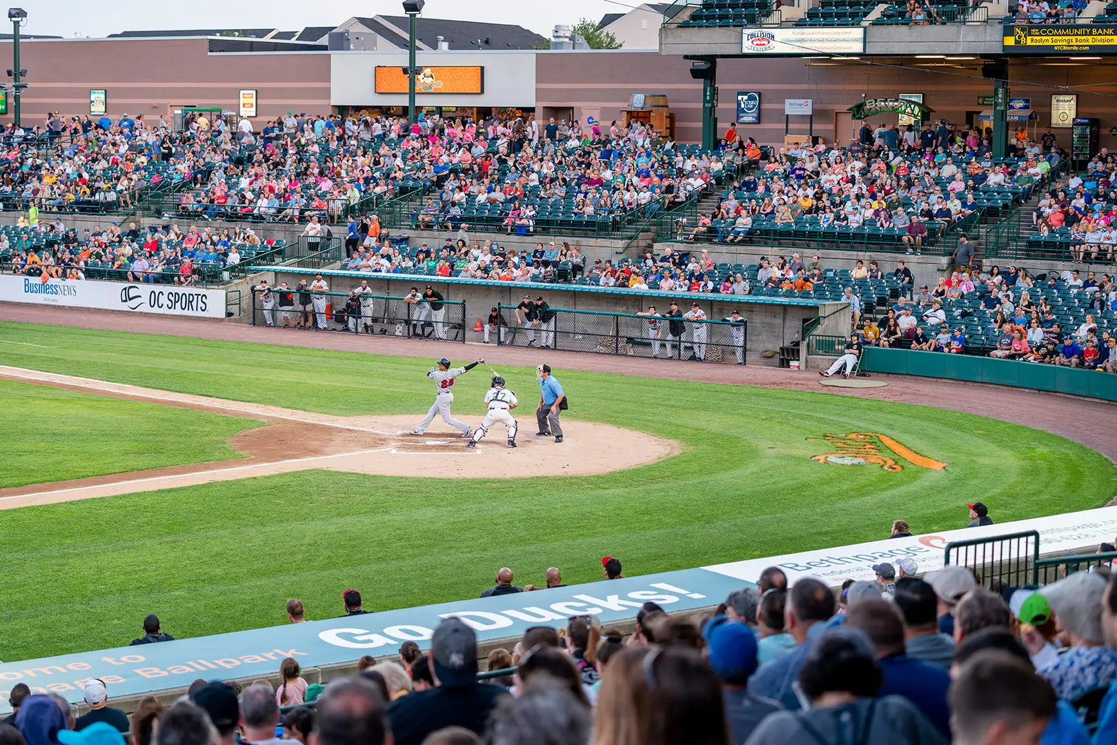 Fans cheering at a Long Island Ducks baseball game