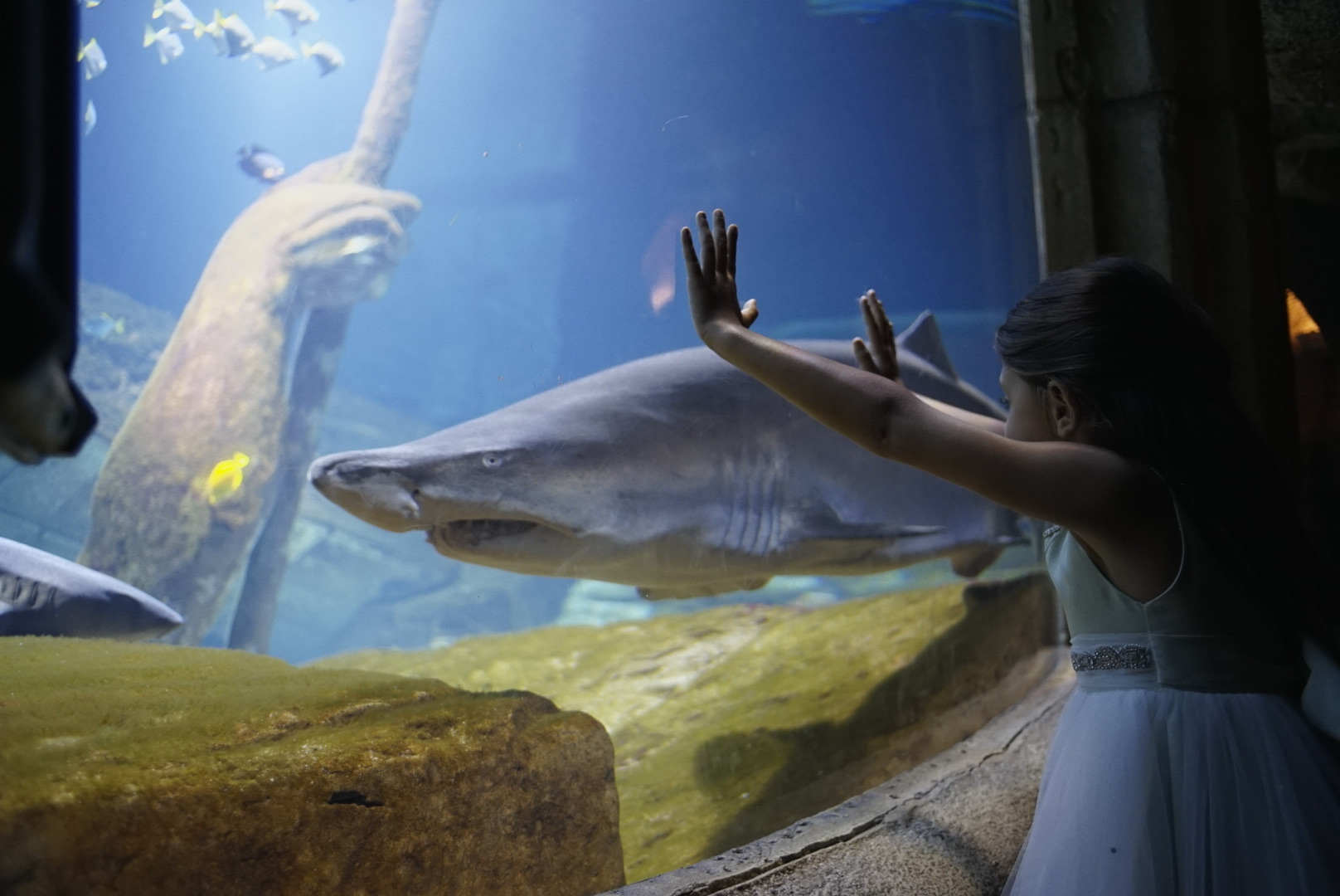 Visitor interacting with a marine animal at the Long Island Aquarium