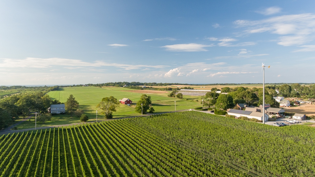 Aerial view of Long Island wine country farmland