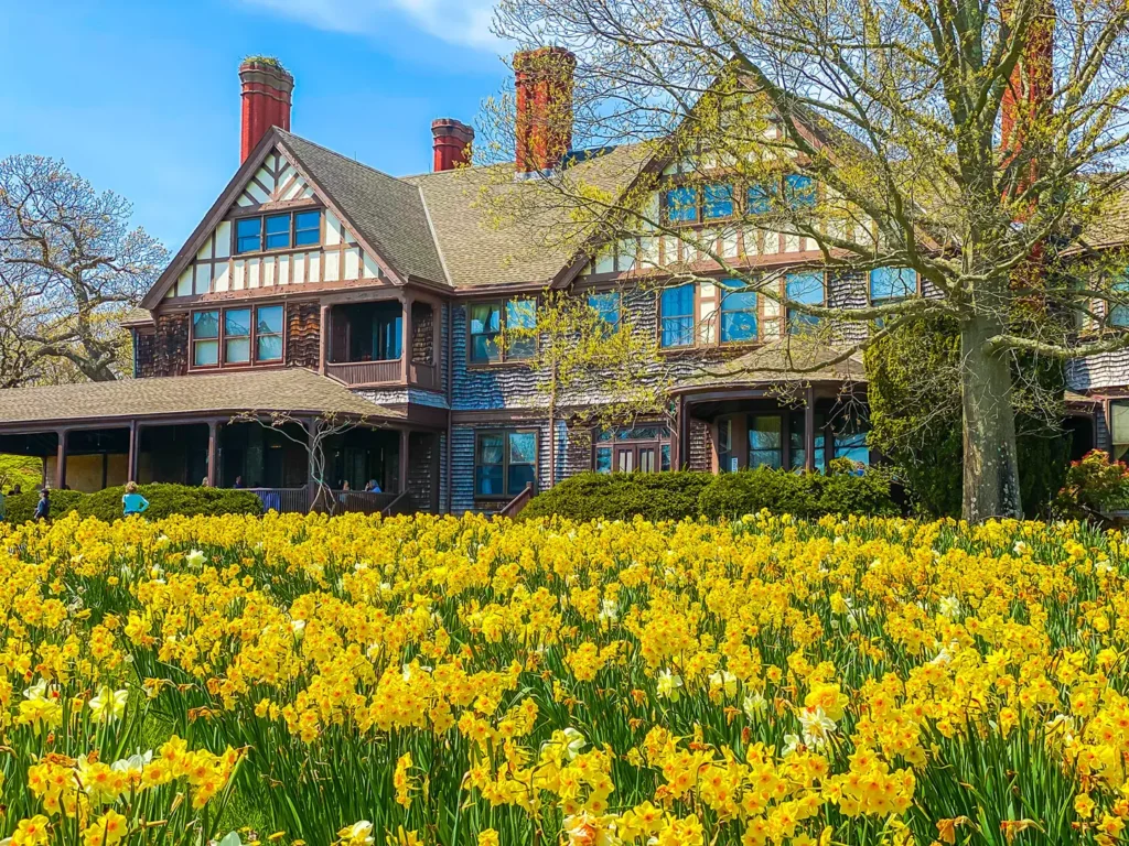 Tudor-style mansion with sunflower field on Long Island