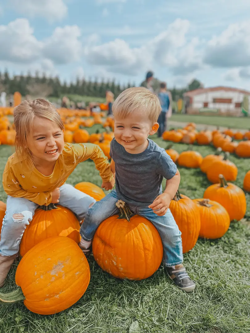 Visitors picking pumpkins at a Long Island farm