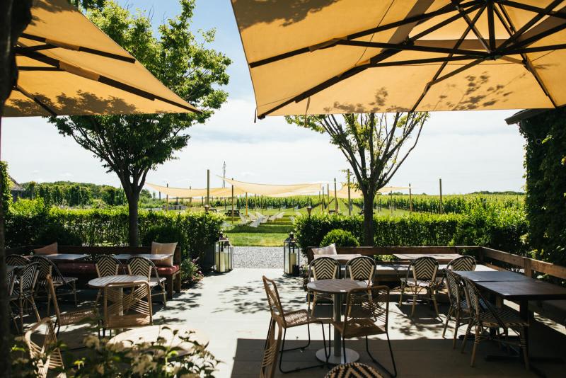 rose hill vineyards and inn