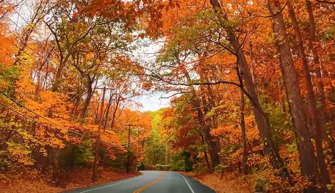 Wooded trail with autumn foliage on Long Island