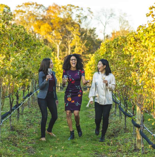 Women laughing in a vineyard