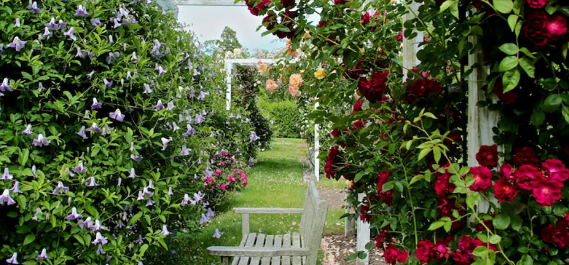 Rose garden trellis at a Long Island wedding venue