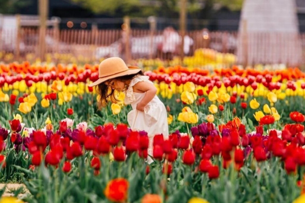 Spring family activities on Long Island